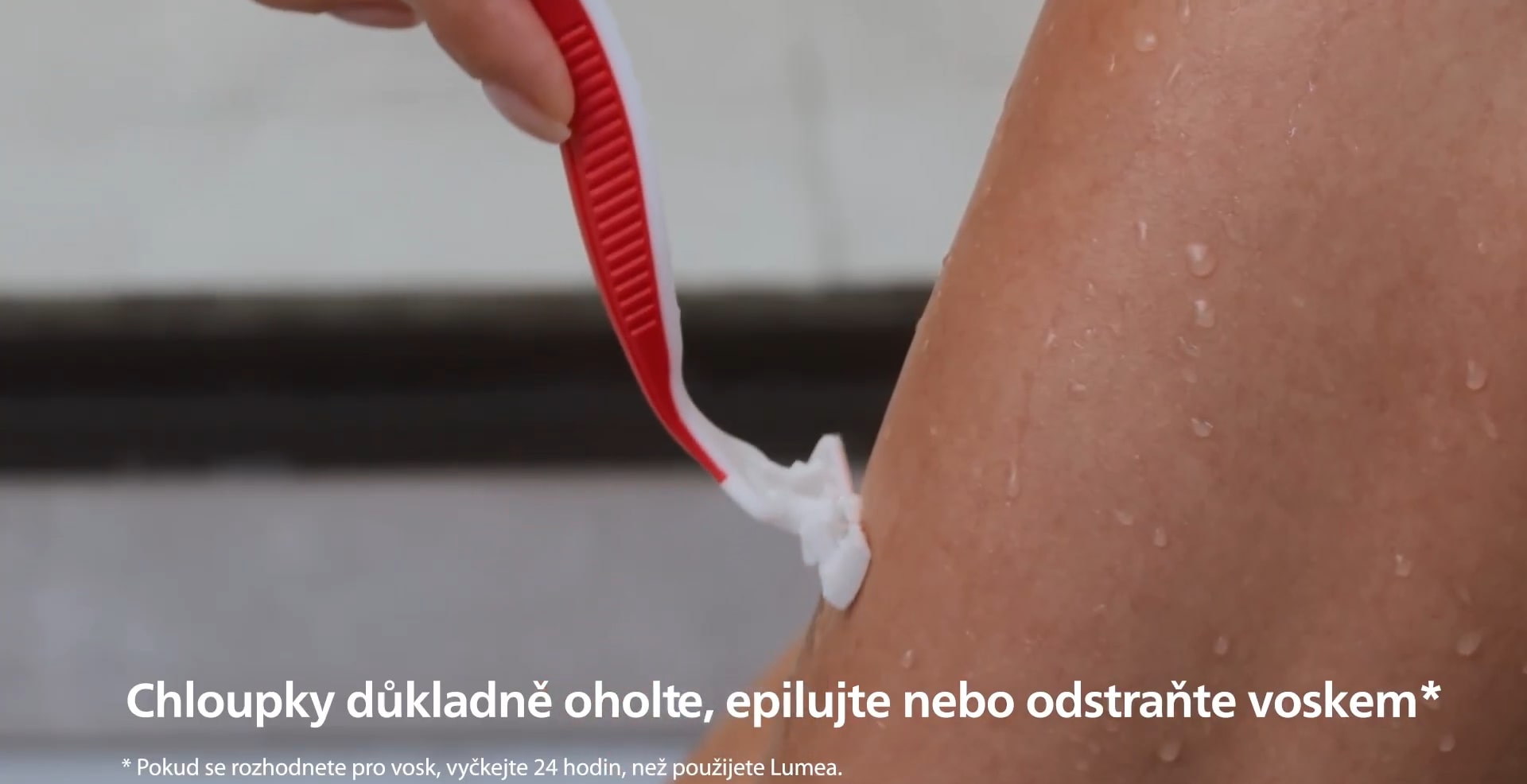 oholeni lumea