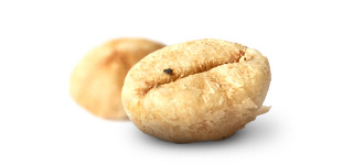 K&aacute;va Kopi Luwak